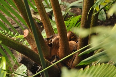 Top Casino Free Spin – World of Plants