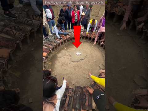 Speel Online Casino Spellen op Rabbit Road Casino, de Bestemming voor Casino-ervaring in Nederland