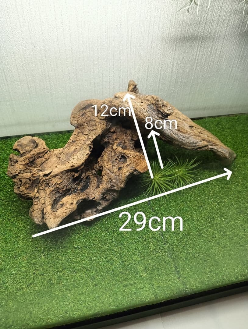Driftwood 546 - Insect & Reptile Layout Supplies - Pre-Treated - Arch-Shaped Shelter