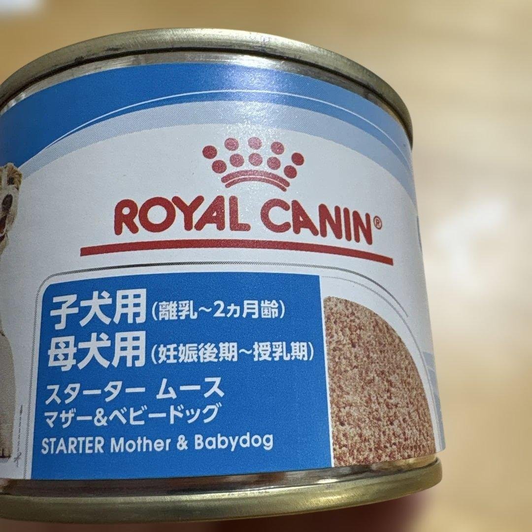 Royal Canin Starter Mousse Mother & Baby 8-pack