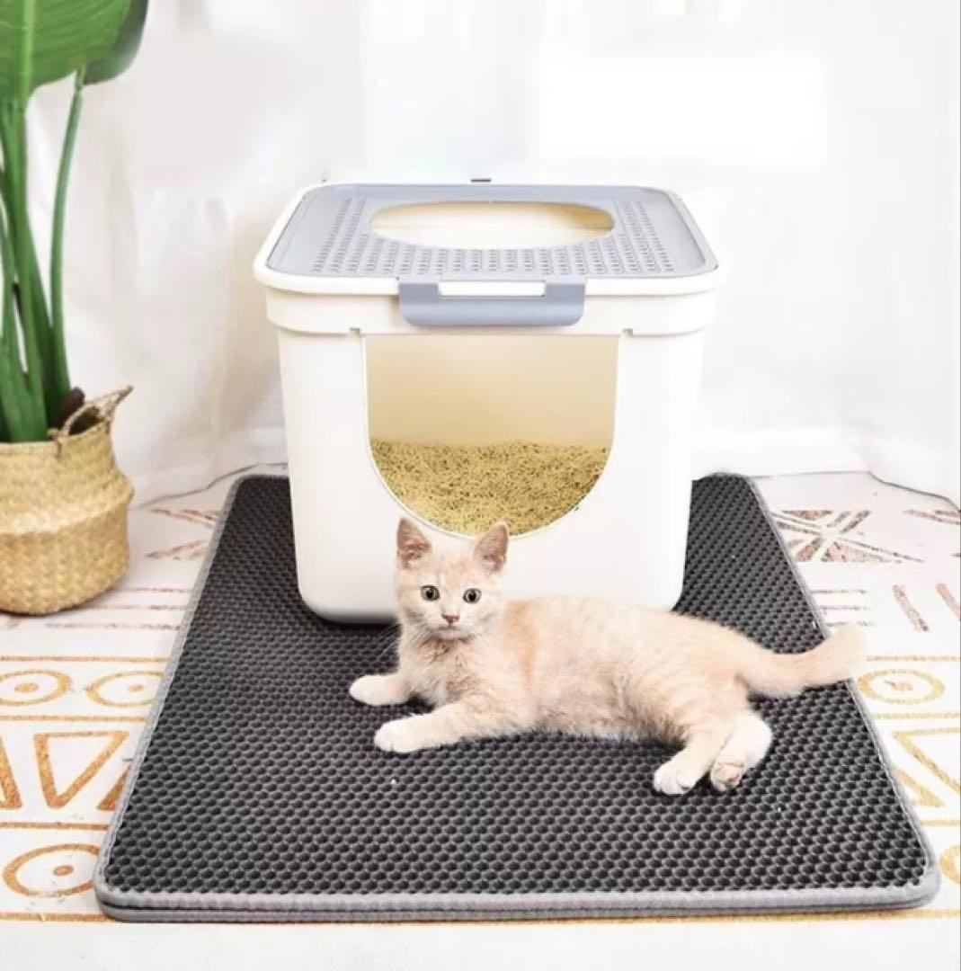 2-Piece Set Cat Litter Mat 30x30cm Scatter Prevention Toilet Mat
