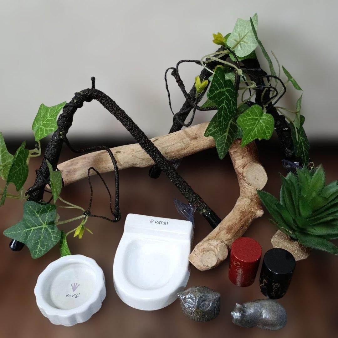 Reptile supplies bulk sale: Leopard gecko toilet, bendable climbing wood, Kasama ware accessory