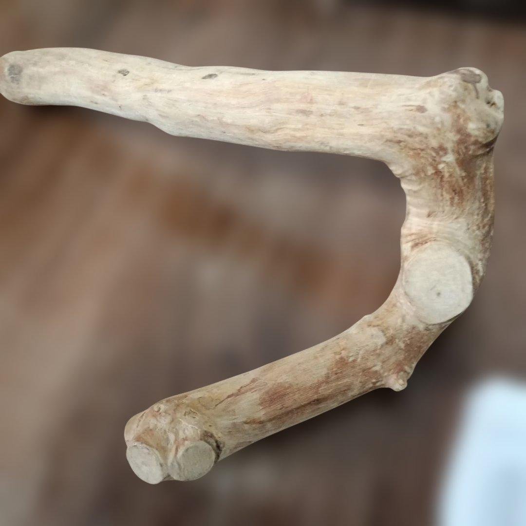 Reptile supplies bulk sale: Leopard gecko toilet, bendable climbing wood, Kasama ware accessory